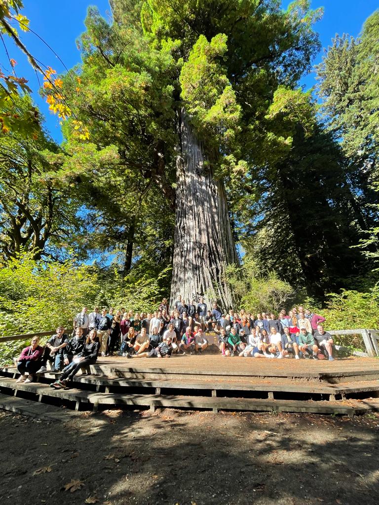 13. Tag – Redwood National Park