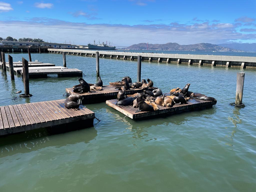 16. Tag – San Frantschüssko